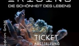 ORIGINS - Die Schönheit des Lebens